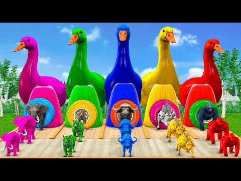 Long Slide Game With Elephant Gorilla Buffalo Hippopotamus Tiger - 3d Animal Game - Funny 3d Animals