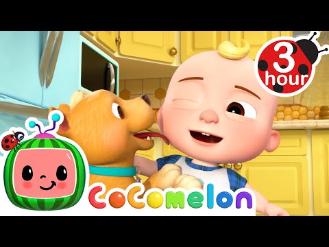 This is the Way (Doggie Version) | 3 HOUR CoComelon Kids Songs &amp; Nursery Rhymes