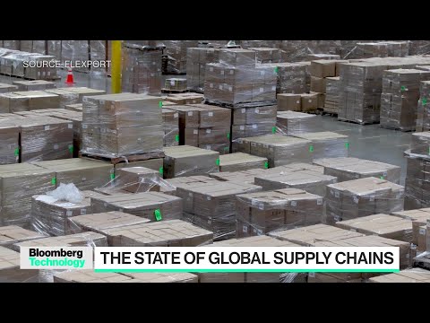 Flexport CEO on Global Supply Chain Amid Red Sea Crisis