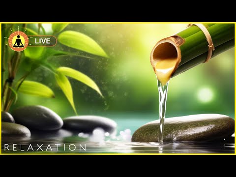 🔴 Relaxing Music 24/7, Sleep Music, Stress Relief Music, Spa, Meditation, Yoga, Zen, Calming Music