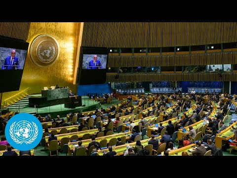 East Jerusalem &amp; Palestinian Territories | Emergency UN General Assembly (Resumed) | United Nations