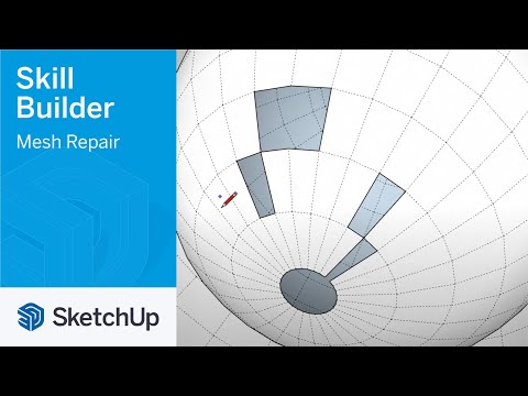 Mesh Repair - Skill Builder