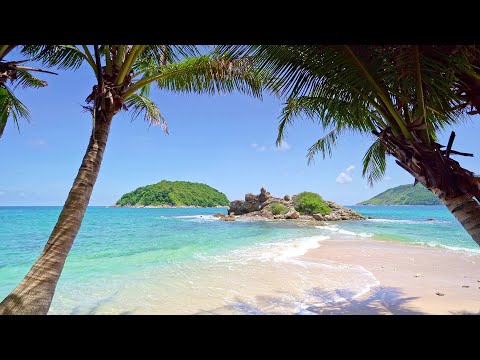 Tropical Beach with Waves crashing on Sandy Shore | White Noise for Meditation &amp; Sleep | 4K UHD