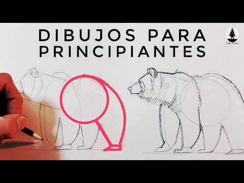 30 MINUTOS de DIBUJOS para PRINCIPIANTES