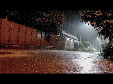 Fall asleep soundly with the sound of gentle rain - Rain sounds for sleeping