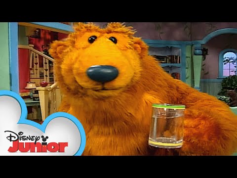 Water, Water Everywhere | Full Episode | S1 E2 | Bear in the Big Blue House | 