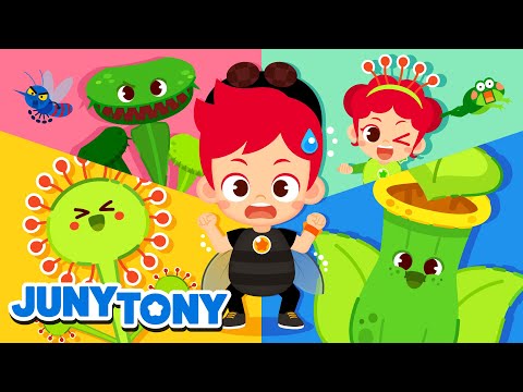 Why Do They Eat Bugs? | +More Bug Songs | Insect Songs for Kids | Animal Song | JunyTony