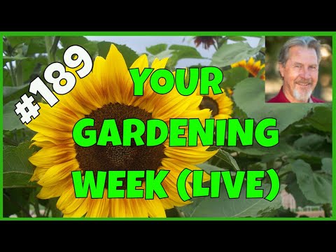 Hard Lessons in Gardening (Q&amp;A)