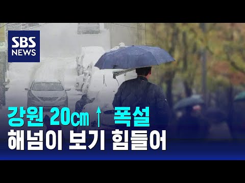 강원 20㎝&uarr; 폭설&hellip;해넘이 보기 힘들어 / SBS