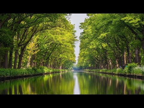 Relaxing Music For Nerves 🌿 Calming Music, Healing Music For The Heart, And Blood Vessels