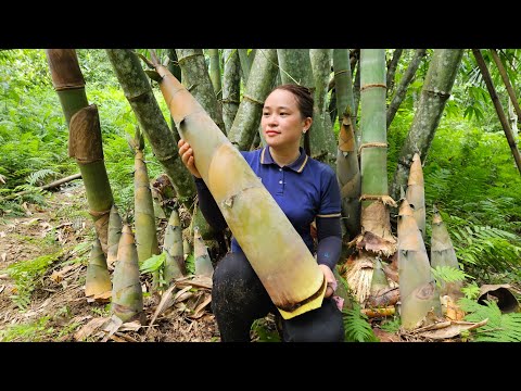 Video Full: 90 Days Gardening - Harvesting Huge Bamboo Shoot - Harvest Fruit - Live With Nature