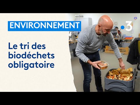 Contre le gaspillage, le tri des d&eacute;chets alimentaires est d&eacute;sormais obligatoire