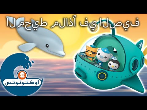 أوكتونوتس | ☀️ المحيط ملاذًا في الصيف ?️ | رسوم متحركة للأطفا