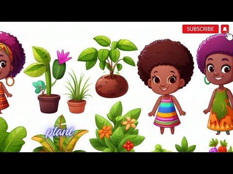 Different types of plants for kids in English /Science learning stories