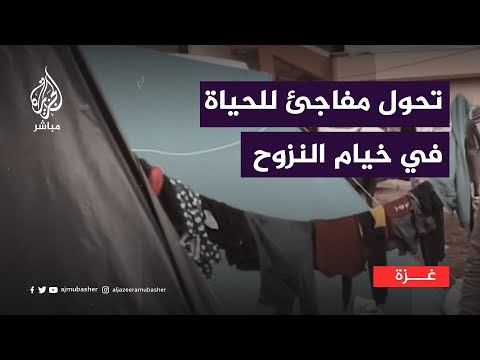 مراسل الجزيرة مباشر يُفاجَأ بأحوال خيمة فلسطينية نازحة!