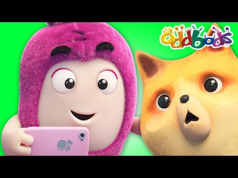 Oddbods | PURR-FECT CAT SELFIE  | Funny Cartoons For Children