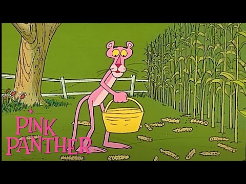 Pink Panther Grows Corn! | 35-Minute Compilation | Pink Panther Show