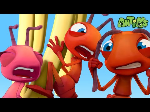 Cup Noodle | 😄🐜| Antiks Adventures - Joey and Boo's Playtime