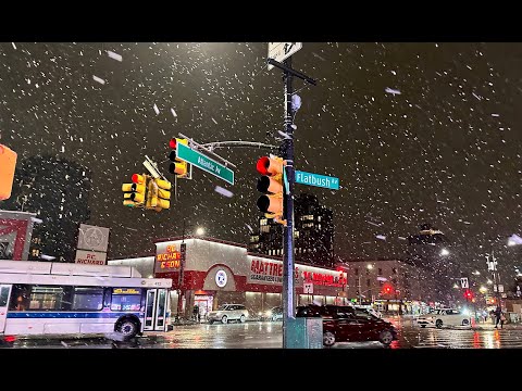 Снегопад в Нью-Йорке 2024 winter storm in new york city