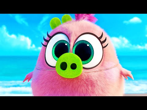 THE ANGRY BIRDS MOVIE 2 Clip - &quot;Opening Scene&quot; (2019)