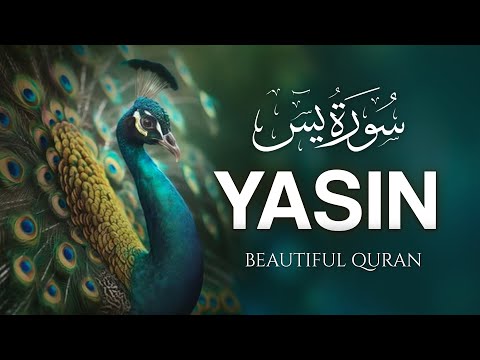 Surah Yasin (Yaseen) سورة يس | Amazing Voice Quran Recitation | Zikrullah TV