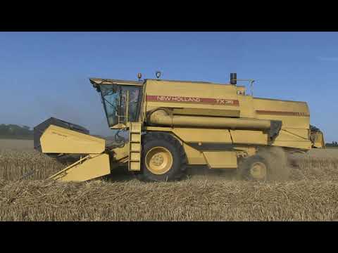 NEW HOLLAND TX36 HARVESTING WHEAT