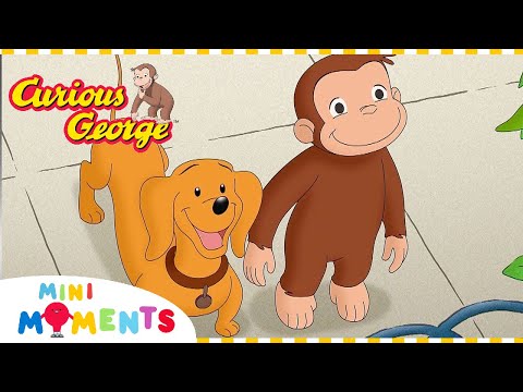 There's No Place Like Home! | Curious George | 1 Hour Compilation | Mini Moments