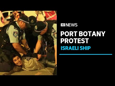 Police charge 23 pro-Palestinian activists over protest at Port Botany | ABC News