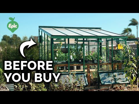 What I Wish I Knew BEFORE I Got A Greenhouse