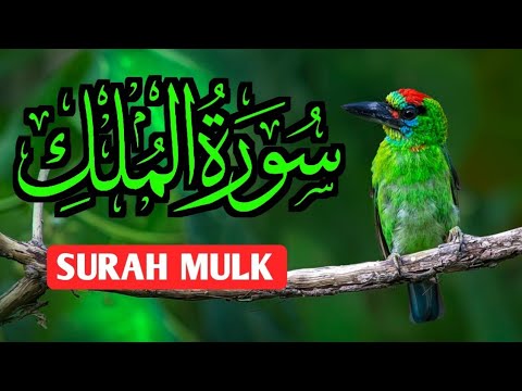 Surah-Al- Mulk Full tilawat(Surah-Al- Mulk full recitation )