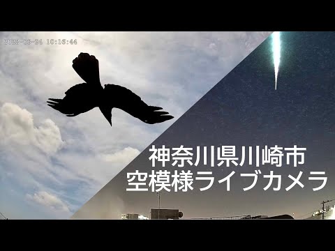 【2024/01/10 昼】 神奈川県川崎市　空模様ライブカメラ