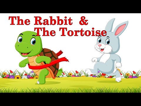 The Tortoise and The Hare | The Rabbit and The Tortoise | Bedtime Stories for Kids | Fairy Tales