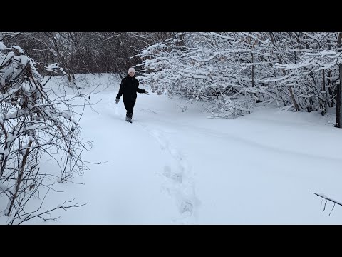 Переезд в РОССИЮ.Мы добрались!Ошибка в жизни и как не сломаться.Ремонта не будет!