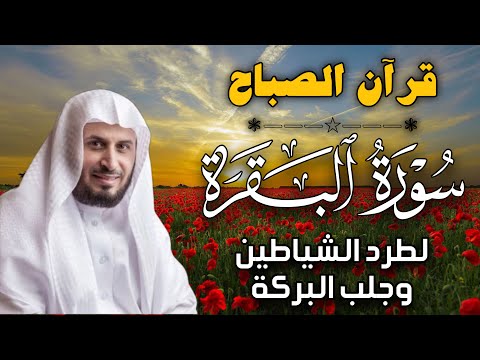 قرآن الصباح | سورة البقرة لحفظ وتحصين المنزل | بصوت الشيخ  سعد الغامدي - جودة عالية