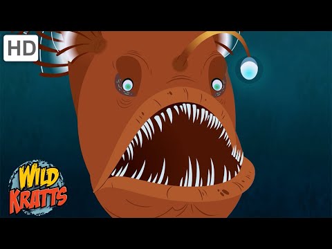 Scary Creatures of the Deep | Spooky Sea Creatures from the Deep Ocean [Full Episodes] Wild Kratts