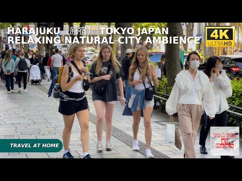 4k hdr japan travel | Walk in Harajuku（原宿）Tokyo japan |  Relaxing Natural City ambience