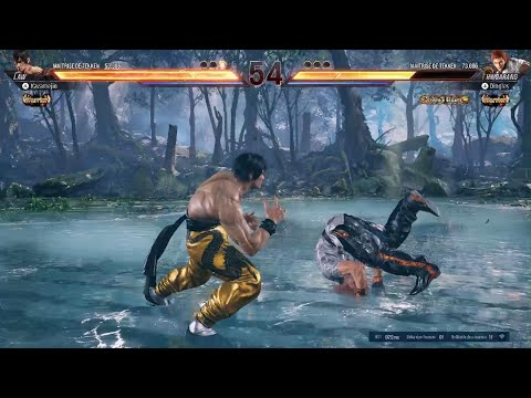 TEKKEN8 - LAW VS HWOARANG