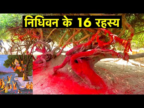 16 interesting facts about Nidhivan, Vrindavan | निधिवन के 16 रहस्य | Best attraction of Vrindavan