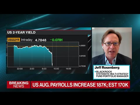 US Labor Market Is Normalizing, Says BlackRock&amp;rsquo;s Rosenberg