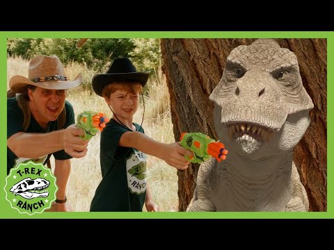 Dinosaurs Showdown! T-Rex Ranch Dinosaur Videos