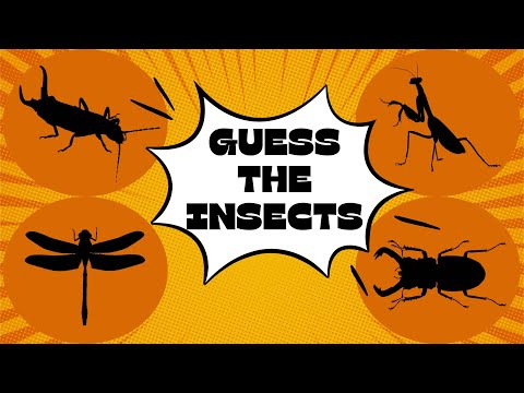 Guess the INSECTS from its Shadow | Quiz Game for Kids | Sounds The INSECTS