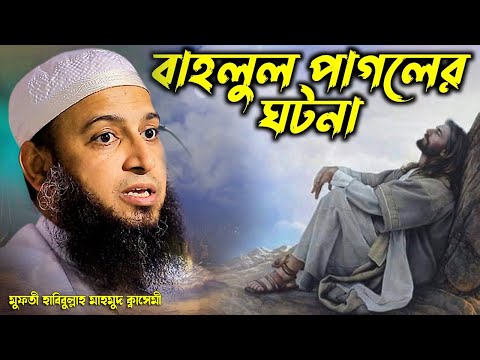 বাহলুল পাগলার আজব ঘটনা || অবাক হলেন বাদশা হারুন অর রশিদ || মুফতী হাবিবুল্লাহ মাহমুদ ক্বাসেমী