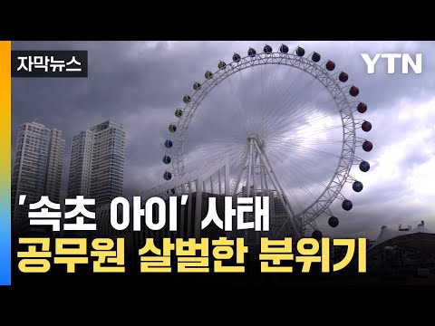 [자막뉴스] '속초 아이' 해체 명령 예고...담당 공무원 줄줄이 징계 / YTN