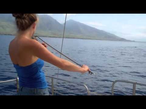 Whales Hang out to Hear Violin