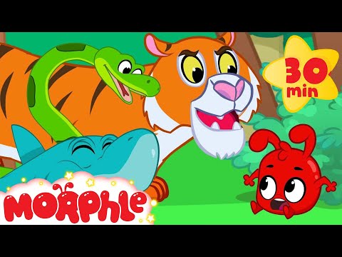 Morphle and the Scary Animal Bandits - Snake, Tiger, Shark, Lion and Dinosaur Videos for kids