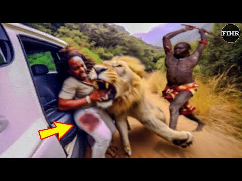 35 SHOCKING When Animals Go On A Rampage! Interesting Animal Moments CAUGHT ON CAMERA #1