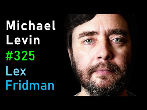 Michael Levin: Biology, Life, Aliens, Evolution, Embryogenesis &amp; Xenobots | Lex Fridman Podcast 