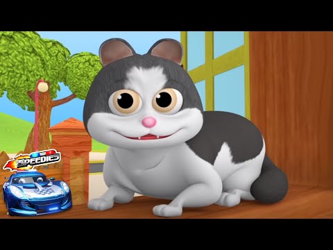 Meow Meow Billi Karti, म्याऊं म्याऊं बिल्ली करती, Nursery Poem and Kids Rhymes