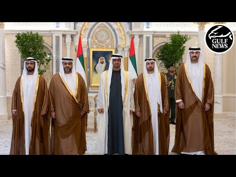 New ambassadors swear in before the UAE President