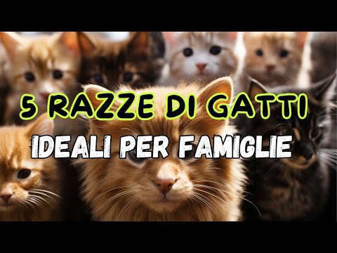 5 RAZZE DI GATTI IDEALI PER FAMIGLIE